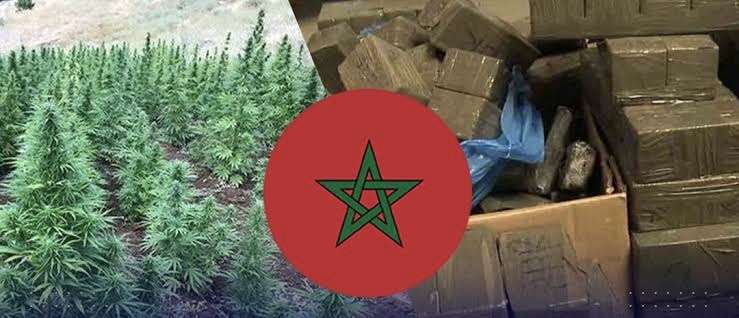 شبكات المخدرات القادمة من المغرب تشكل منظومة إجرامية تهدد الأمن والاستقرار