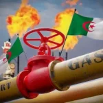 الإتحاد الدولي للغاز : الجزائر فاعل أساسي في تعزيز أمن الطاقة