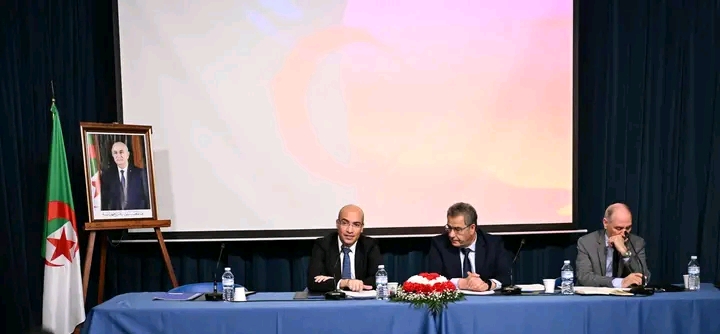 Sofiane chaib in Alicante: Modernizing Consular Services for the Overseas Community