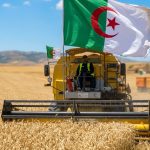 الجزائر الأولى إفريقيًا في مؤشر صمود الأنظمة الغذائية