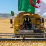 Algeria Ranks First in Africa in 2026 Food System Resilience Index