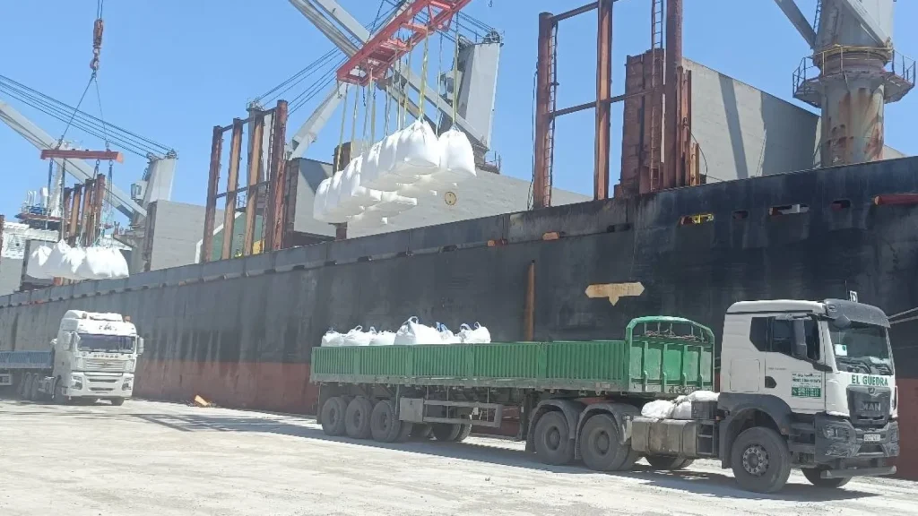 Algeria : The birth of an African logistic giant