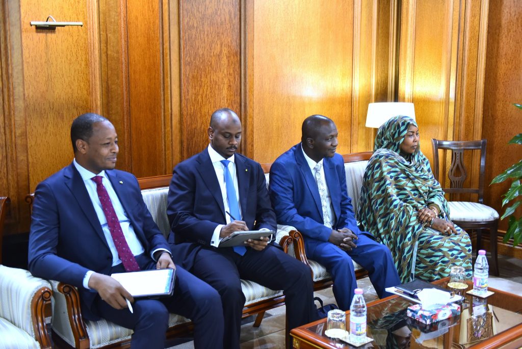 Algeria-Chad : Strategic talks to expand partnership in hydrocarbons and mining