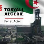 « l’Algérie passera à un autre niveau »: le PDG de Tosyali