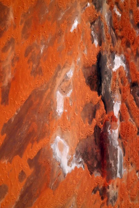 Algeria from Orbit : NASA Astronaut Jessica Meir HailsSaharan Landscapes as “a Cosmic Art Gallery”