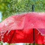 أمطار غزيرة تجتاح 19 ولاية جزائرية