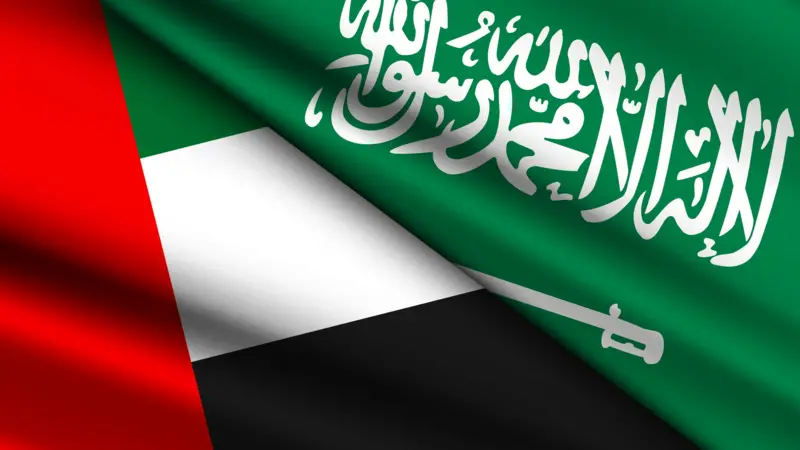 الإمارات تعلن حربا إعلامية عدائية  ضد السعودية ..عيال زايد يجندون مرتزقة لمهاجمة محمد بن سلمان !