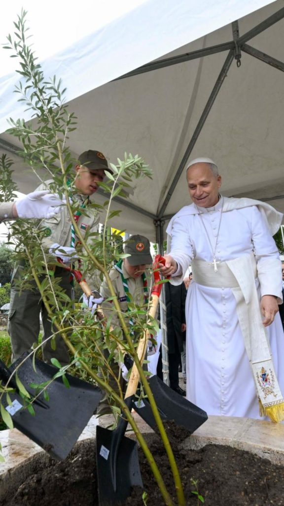 “السلام عليكم”.. حين تكتب الجزائر موقعها في العالم بلغة السلام