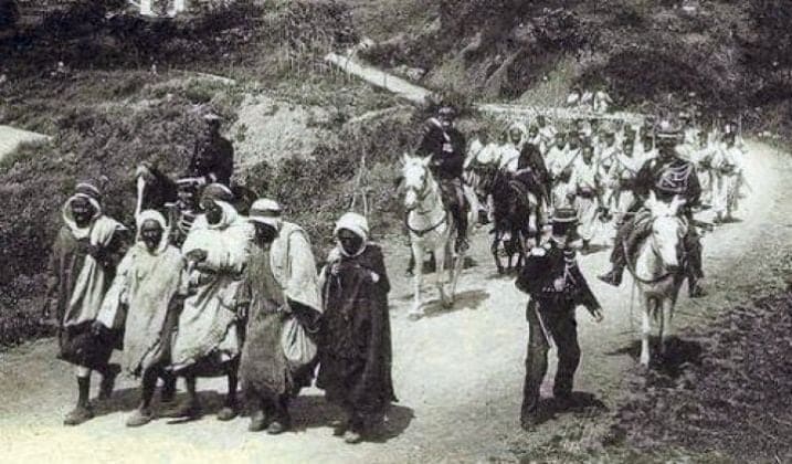منفيو كاليدونيا..حلم العودة إلى الجزائر يراود الأحفاد !