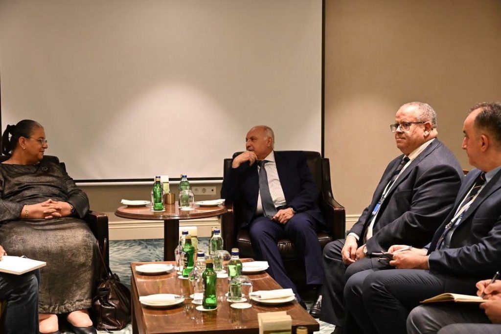 مستجدات الأوضاع على الساحة الليبية.. محور محادثات عطاف مع الممثلة الأممية هانا تيته