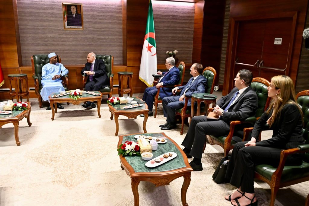 في مقدمتها قضايا الساحل.. التشاور والتنسيق بين الجزائر وتشاد في عدة مسائل ذات الاهتمام المشترك