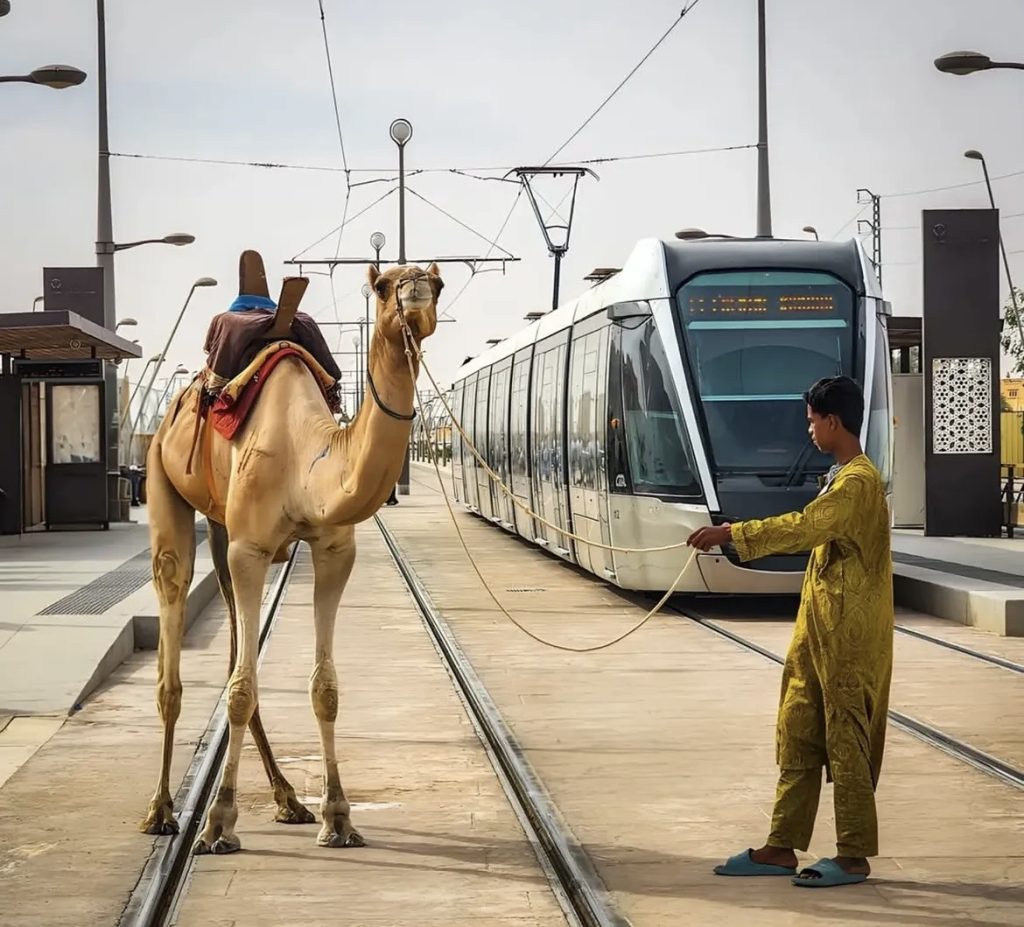 750 ألف سائح زاروا الجنوب الجزائري الكبير في 2025