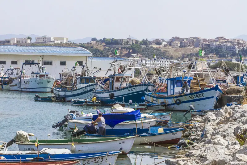 A Historic Session for Algeria; from food security to Global solidarity