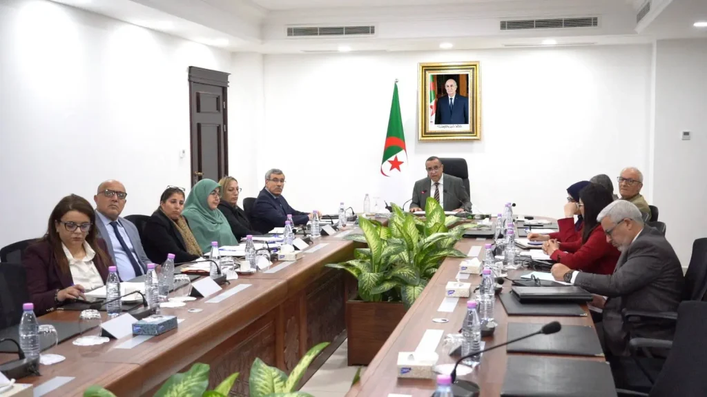 Algeria Eyes Pivotal Role in African Energy Trade and Continental Integration