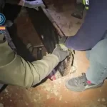 The Tunnel of Smuggling: Drugs, Arms, and Migrants
