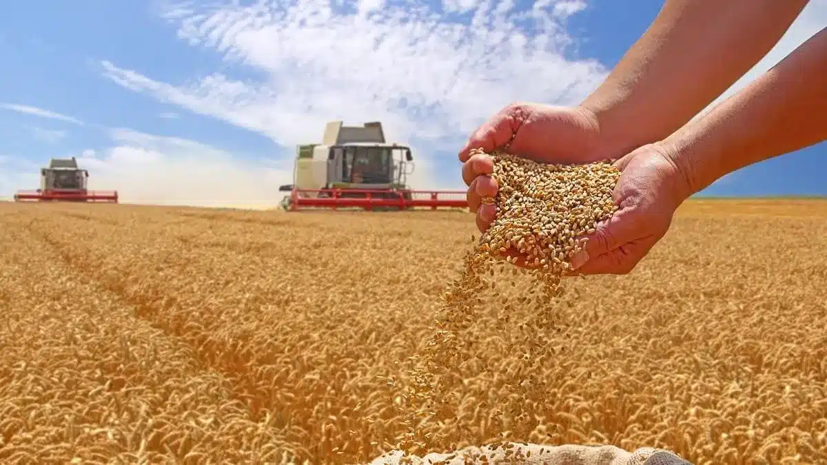 A Historic Session for Algeria; from food security to Global solidarity