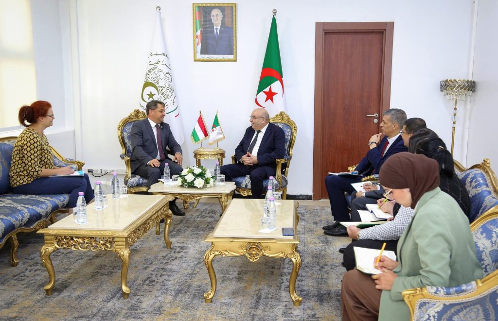الجزائر والمجر تبحثان تعزيز الشراكة في الصناعة الصيدلانية والبحث السريري