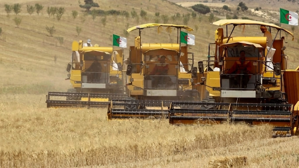 الجزائر تسخر ترسانة فلاحية لإنجاح موسم الحصاد