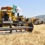 الجزائر تسخر ترسانة فلاحية لإنجاح موسم الحصاد