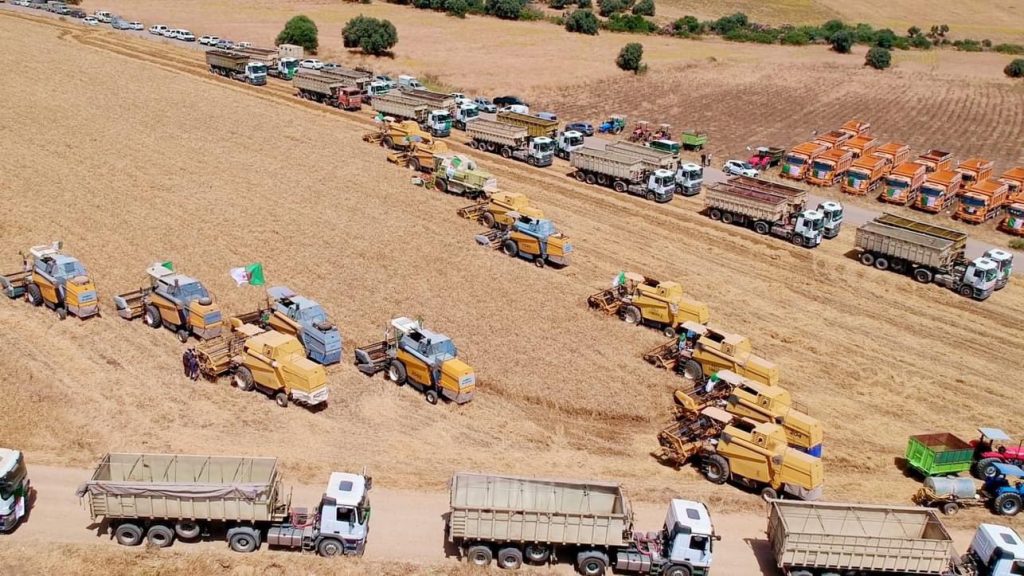 الجزائر تسخر ترسانة فلاحية لإنجاح موسم الحصاد