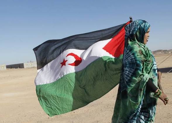 من قلب سلوفينيا .. أميناتو تفضح جرائم الاحتلال المغربي الشنيعة ضد الشعب الصحراوي