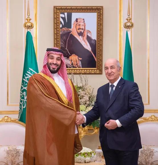 Tebboune Sets Social Media on Fire After Non-Event’ OPEC Comment