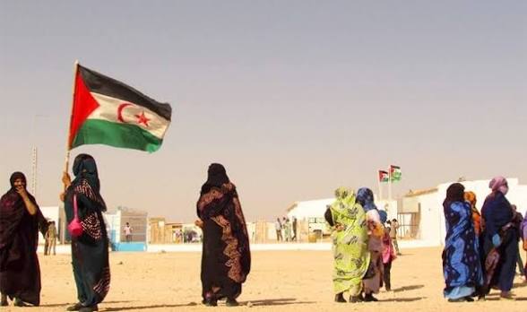 إيطاليا.. قلق إزاء إستمرار  المغرب في خرق القانون الدولي لحقوق الانسان بالصحراء الغربية.
