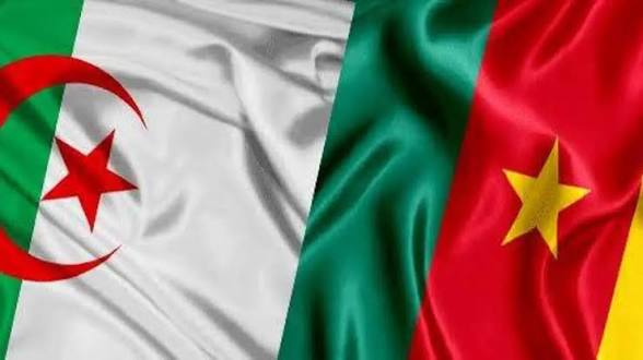 إطلاق أول عملية تصدير لبطاريات السيارات المصنعة محليا نحو الكاميرون