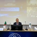 عام 2027 .. الألياف البصرية في كامل التراب الجزائري!
