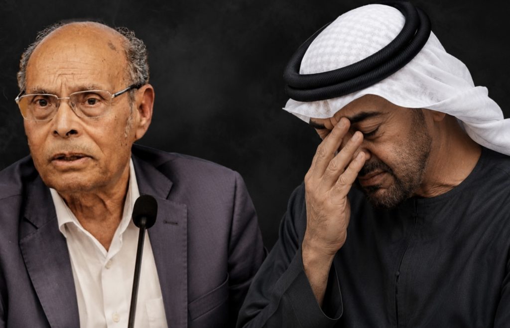 المرزوقي: بن زايد رجل مأمور ولن يذهب بعيدا!