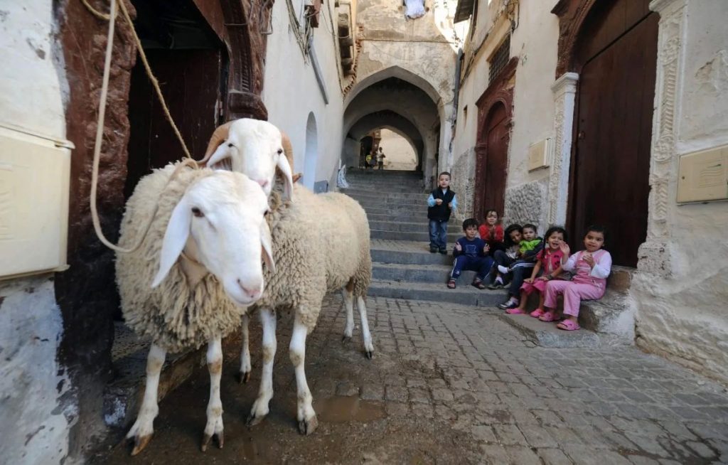 هذا موعد عيد الأضحى في الجزائر!
