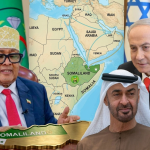 l&rsquo;Algérie et 15 pays dans une confrontation ouverte avec les Emirates