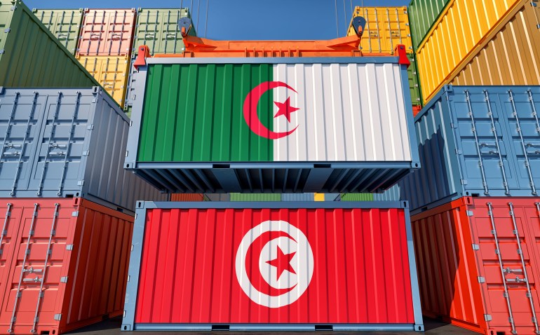 هذه أجندة زيارة الرئيس تبون إلى تركيا