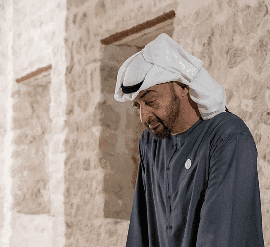 المرزوقي: بن زايد رجل مأمور ولن يذهب بعيدا!
