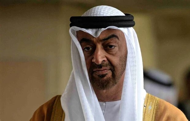 تقرير ألماني يفضح أذرع أبوظبي القذرة في تفتيت 4 دول إفريقية !