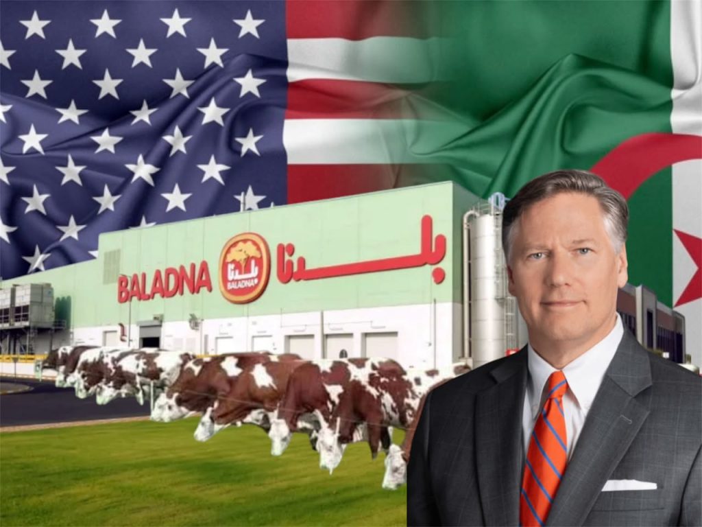 Christopher Landau : le projet de notre pays est important pour l’Algérie et les États-Unis… 30 000 vaches américaines en route !
