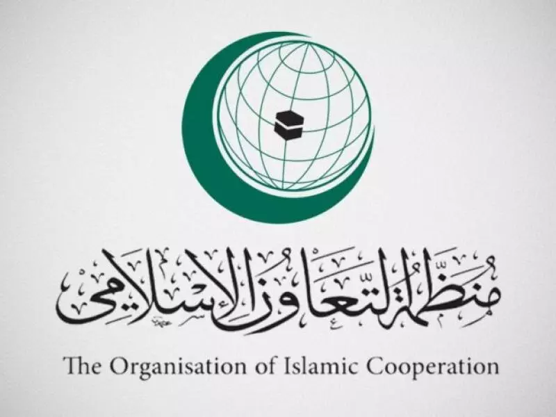 Gaza: The Organization of Islamic Cooperation condemns the Zionist attack on the “Global Solidarity Flotilla”