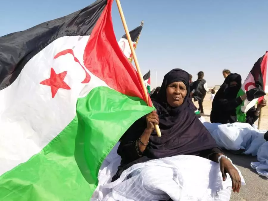 ألمانيا تؤكد دعم حق تقرير المصير للشعب الصحراوي