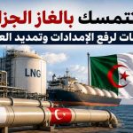 أنقرة تتمسك بالغاز الجزائري.. مفاوضات لرفع الإمدادات وتمديد العقود