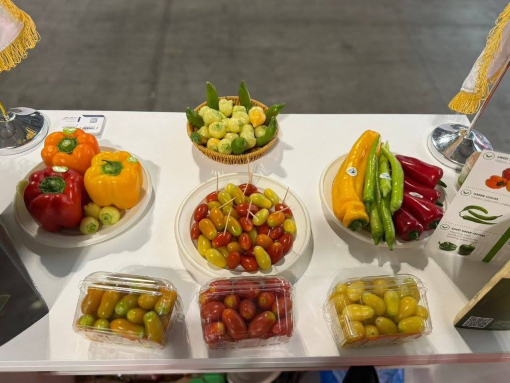 الجناح الجزائري يخطف الأنظار في معرض “TUTTOFOOD” بميلانو