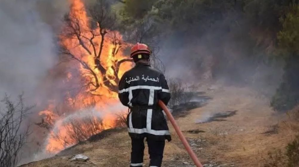 تسجيل 13 حريقا عبر الوطن والحماية المدنية تتدخل لإخمادها