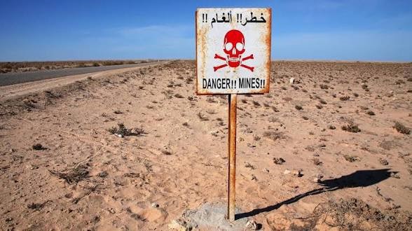 من جنيف الجزائر تقود حدثا جانبيا حول تعزيز دعم ضحايا الألغام المضادة للأفراد