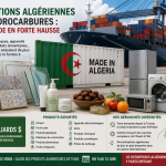Exportations : les produits algériens séduisent de plus en plus les marchés étrangers
