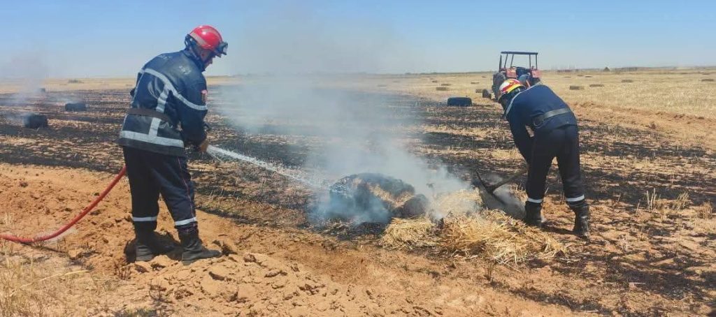 تسجيل 10 حرائق للغطاء النباتي عبر عدة ولايات و عمليات الإخماد متواصلة