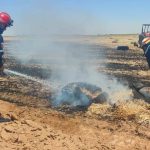 تسجيل 10 حرائق للغطاء النباتي عبر عدة ولايات و عمليات الإخماد متواصلة
