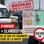 Polémique sur les 500 000 DA : TARIKI rétablit la vérité sur le transport clandestin