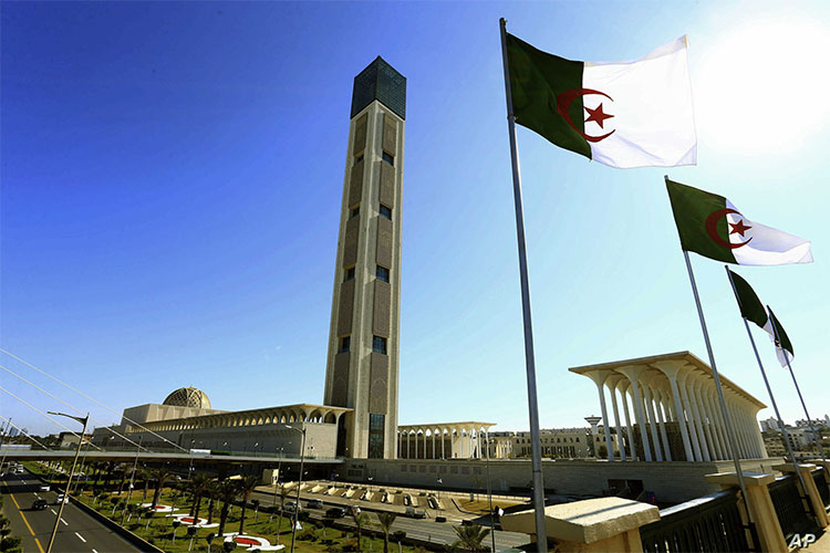 الجزائر تعد المنبع الأول للمدارس العلمية والروحية التي انتشرت في إفريقيا