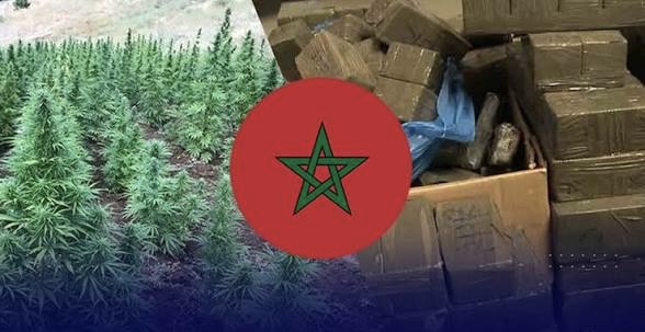 إسبانيا حجز أزيد من 6ر7 طن من الحشيش قادمة من المغرب