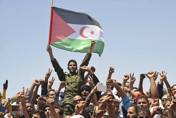 منظمة صحراوية تبرز من نيويورك الانتهاكات الخطيرة لحقوق الإنسان في الصحراء الغربية المحتلة