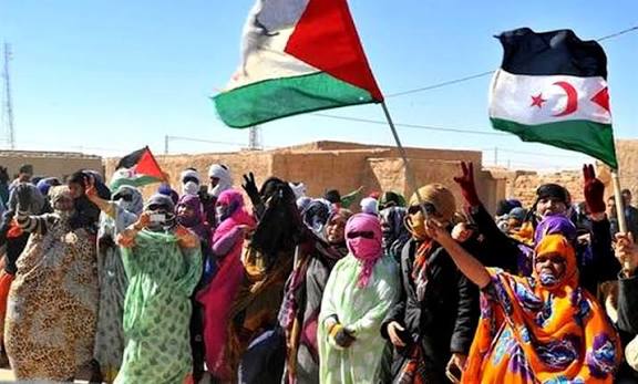 أي محاولة للالتفاف على القانون الدولي لن تغير من الوضع القانوني للصحراء الغربية